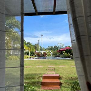 King Room Pool View